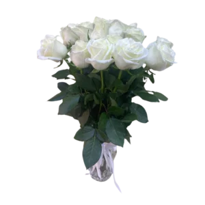 Classic White Roses