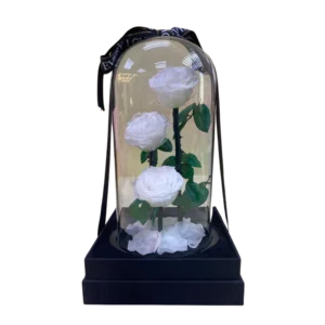 Enchanting Eternity Rose Dome