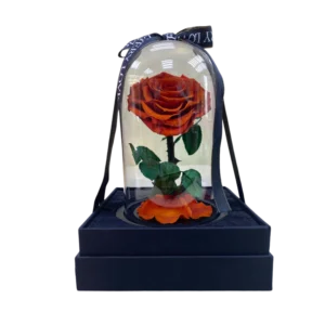 Fiery Eternity Rose Dome