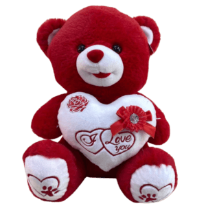 I Love You Red Teddy Bear