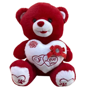 I Love You Red Teddy Bear