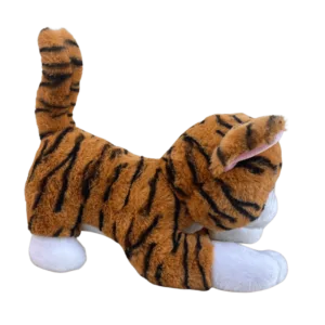 Purrfect Tabby Cat