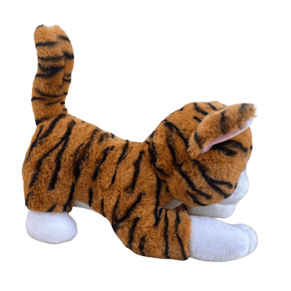 Purrfect Tabby Cat
